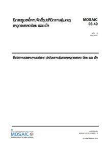 MOSAIC 03.40 National coordination mechanisms on SALW control - Laotian version  image